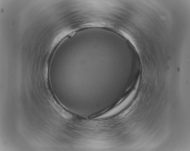 X0000089731179200706211426