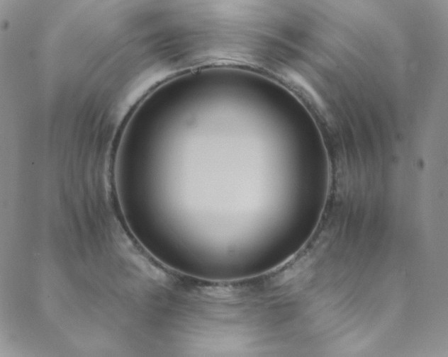 X0000089731182200706211426