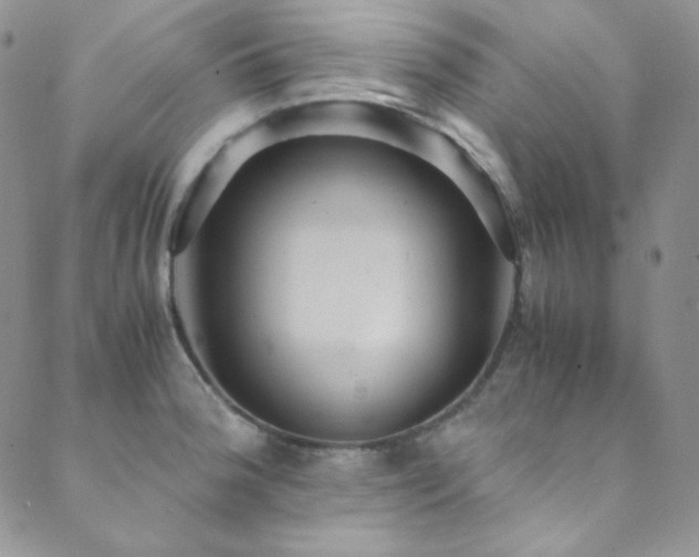 X0000089731188200706211426