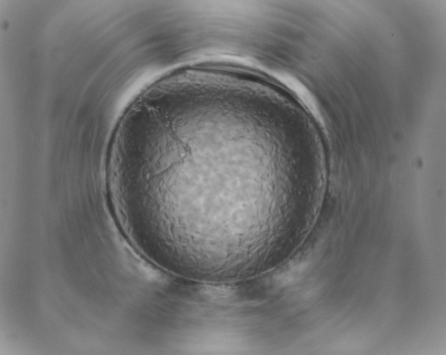 X0000089731191200706211426