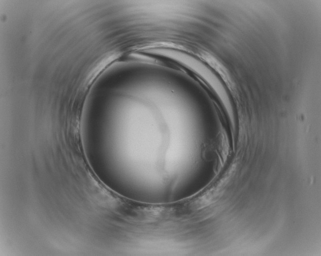 X0000089731193200706211426