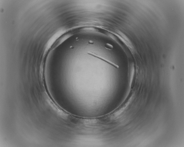 X0000089731196200706211426