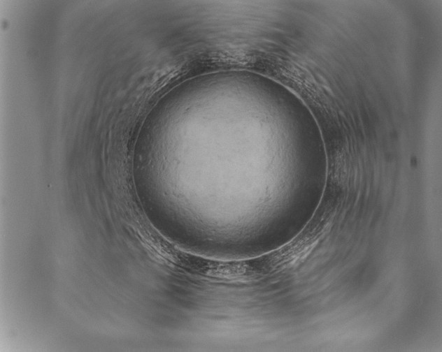X0000089731201200706211425