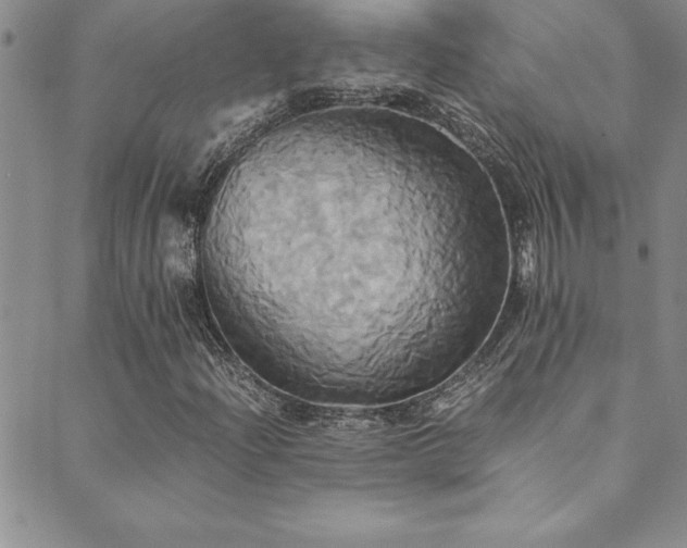 X0000089731204200706211425