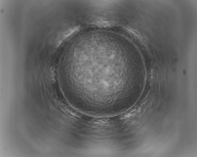 X0000089731205200706211425