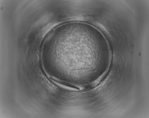 X0000089731212200706211425