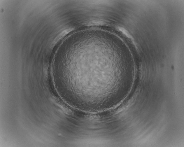 X0000089731217200706211425
