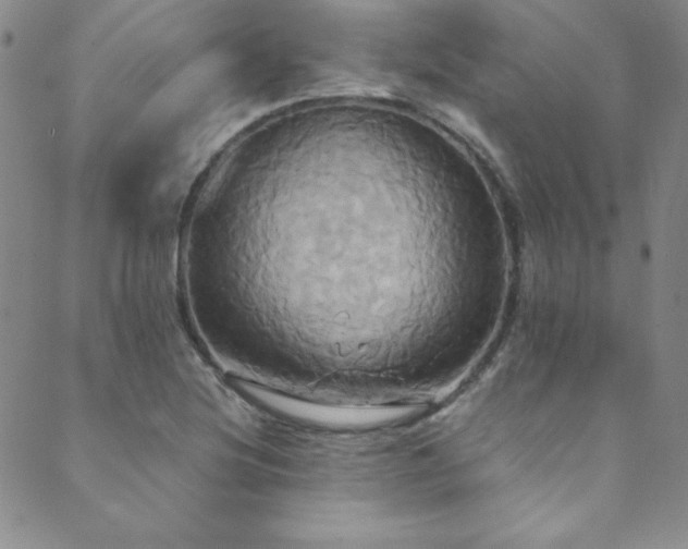 X0000089731220200706211425
