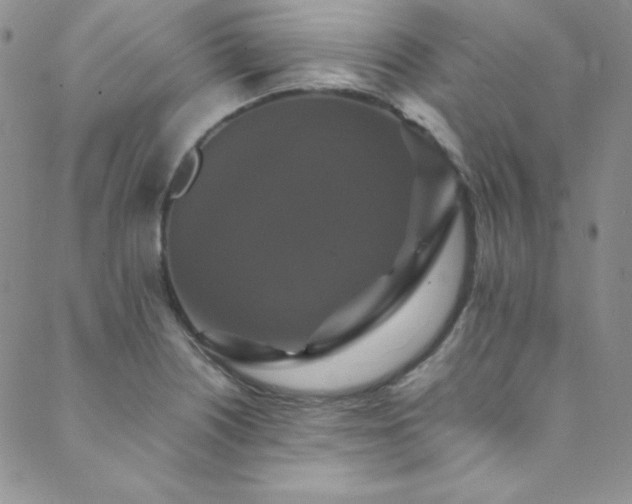 X0000089731226200706211425