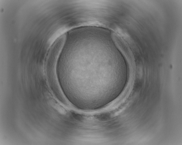 X0000089731230200706211425