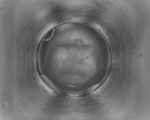 X0000089731235200706211425