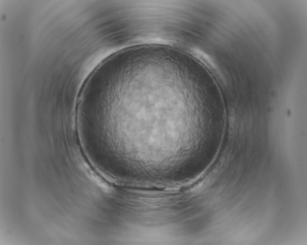 X0000089731236200706211425
