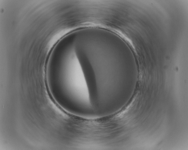 X0000089731239200706211425