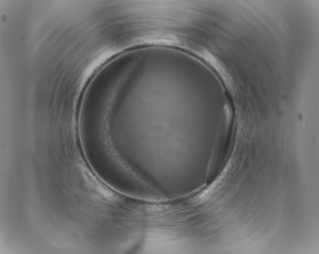 X0000089731240200706211425
