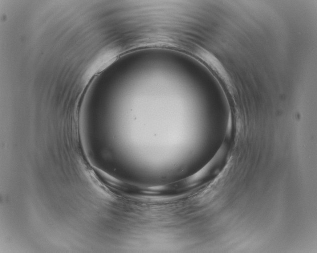 X0000089731242200706211426