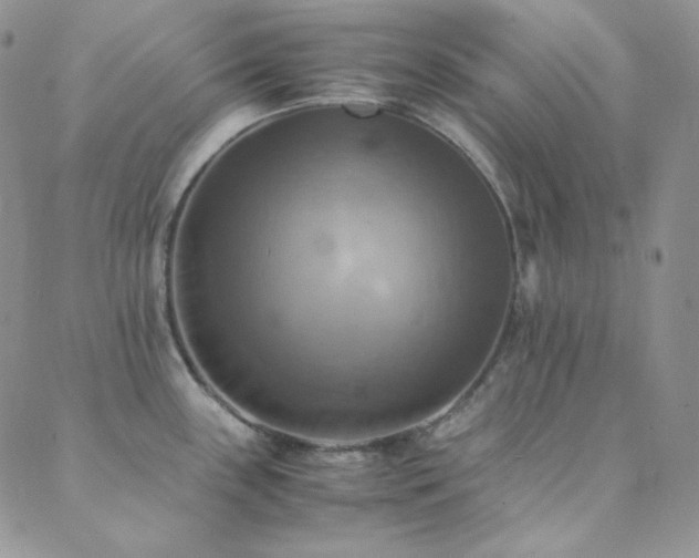 X0000089731243200706211426