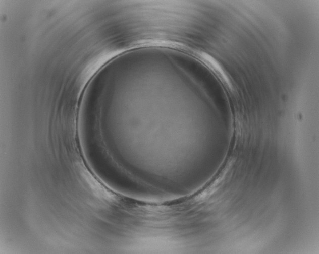 X0000089731244200706211426