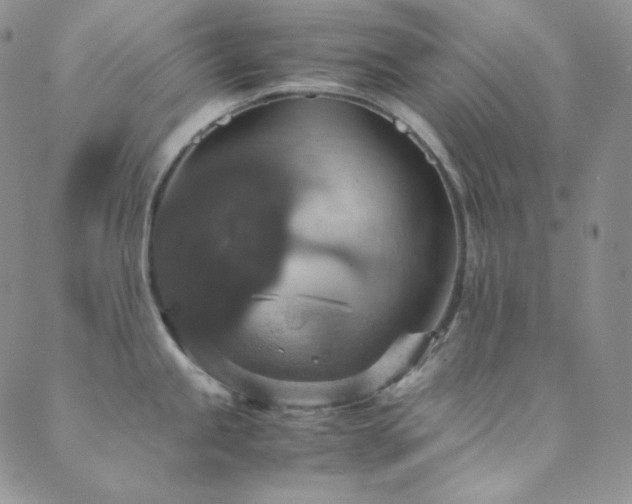 X0000089731245200706211426