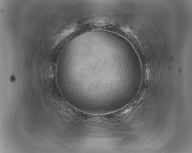 X0000089731253200706211425