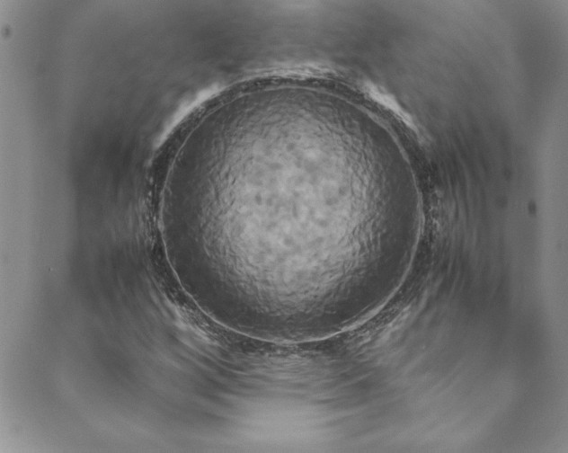 X0000089731256200706211425