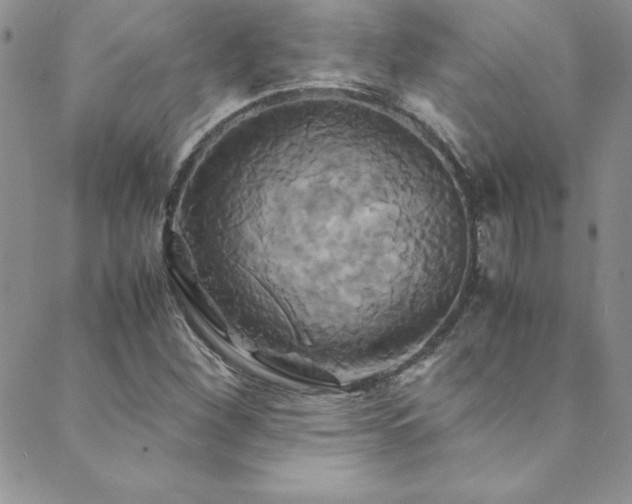 X0000089731260200706211425