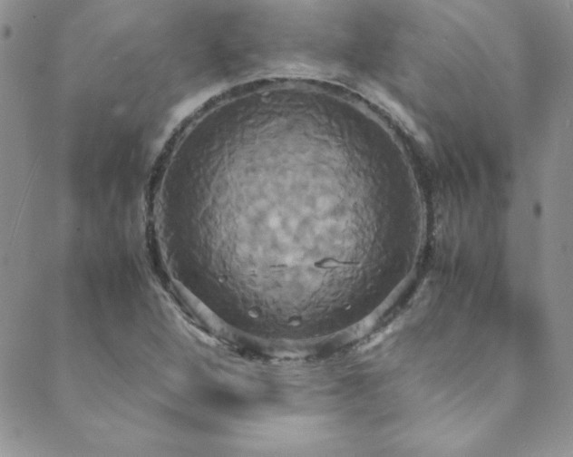 X0000089731264200706211425