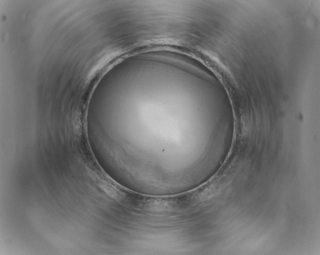 X0000089731266200706211425