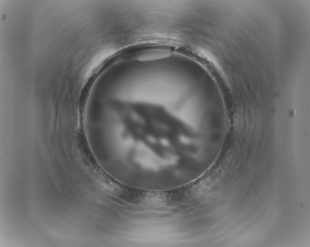 X0000089731267200706211425