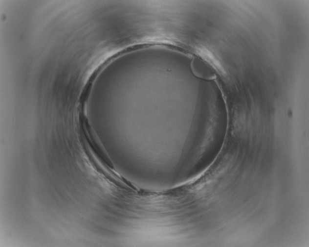 X0000089731268200706211425