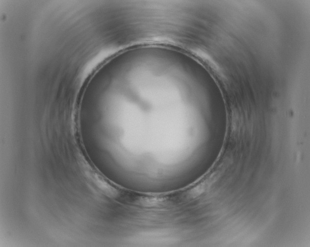 X0000089731278200706211424