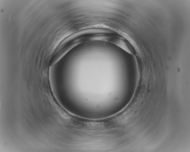 X0000089731281200706211424