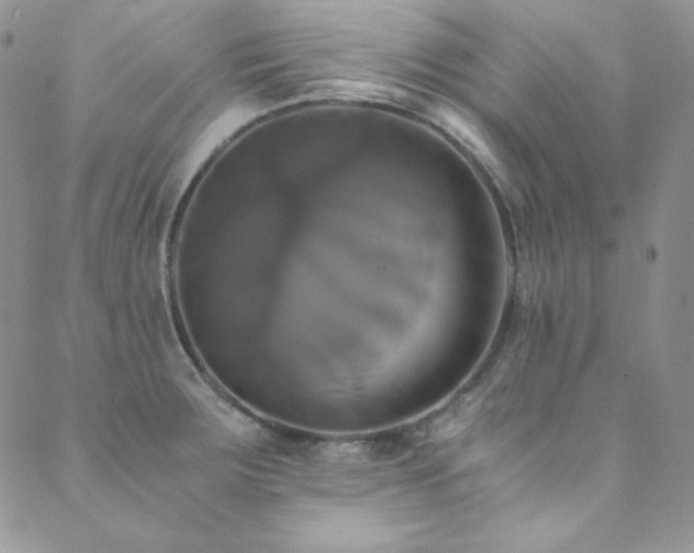X0000089731283200706211424