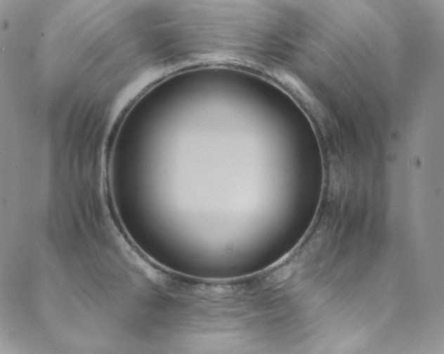 X0000089731286200706211424
