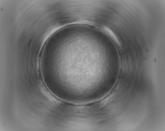 X0000089731292200706211424