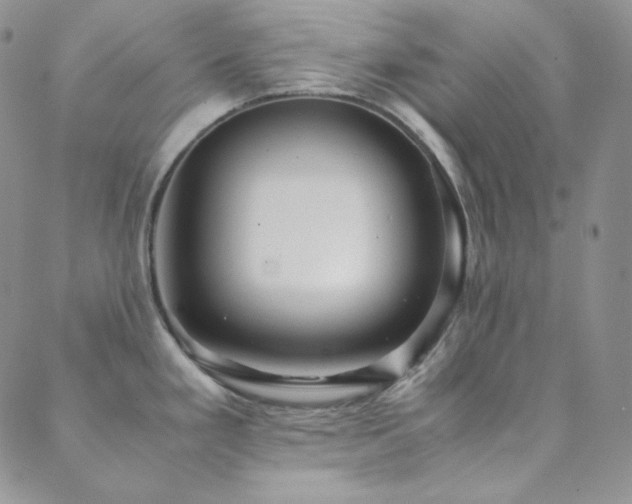 X0000089731293200706211424