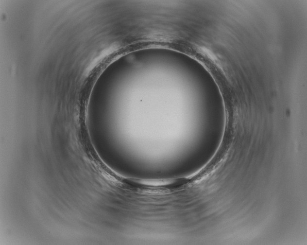 X0000089731307200706211423