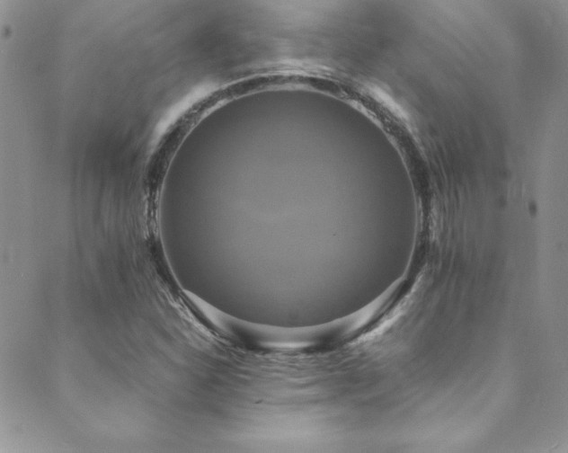 X0000089731310200706211424