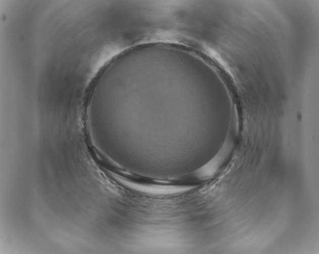 X0000089731312200706211424