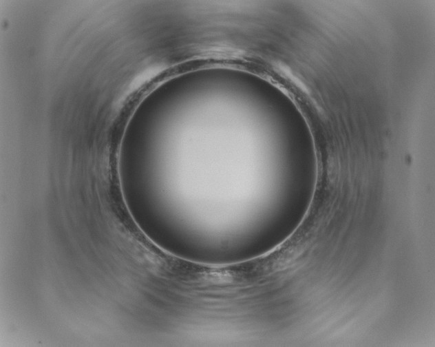 X0000089731315200706211424