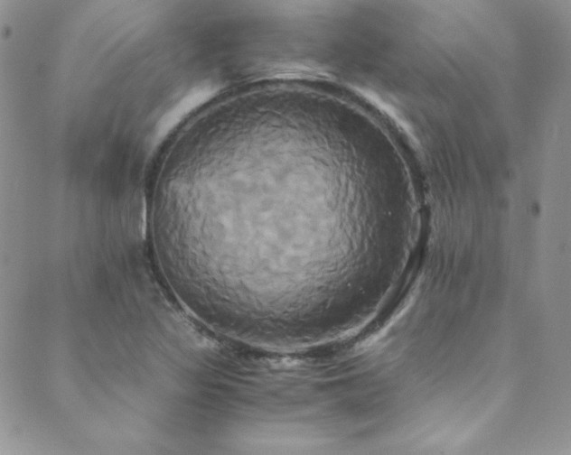 X0000089731317200706211424