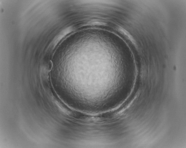 X0000089731321200706211424