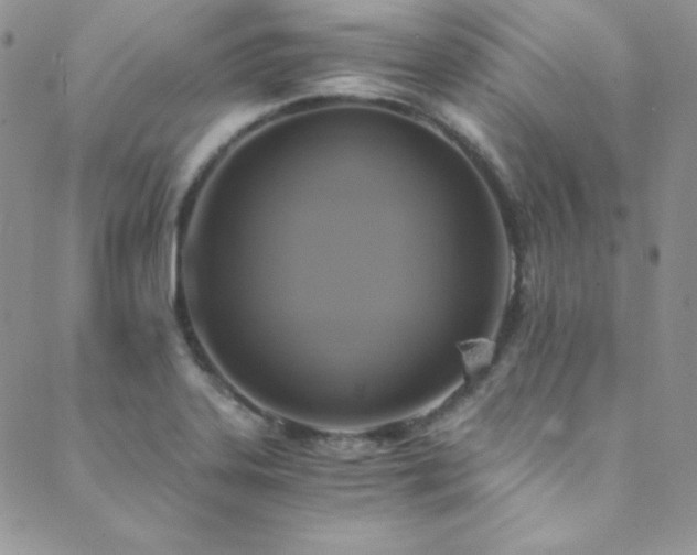 X0000089731323200706211424