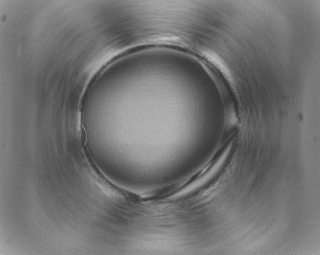 X0000089731324200706211424