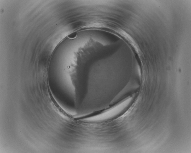 X0000089731337200706211424