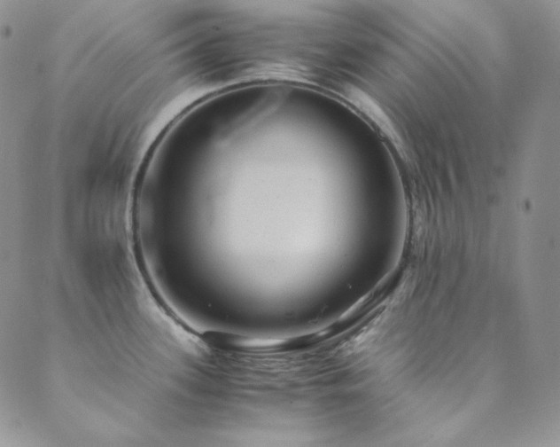 X0000089731339200706211424