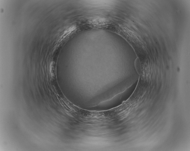 X0000089731346200706211423