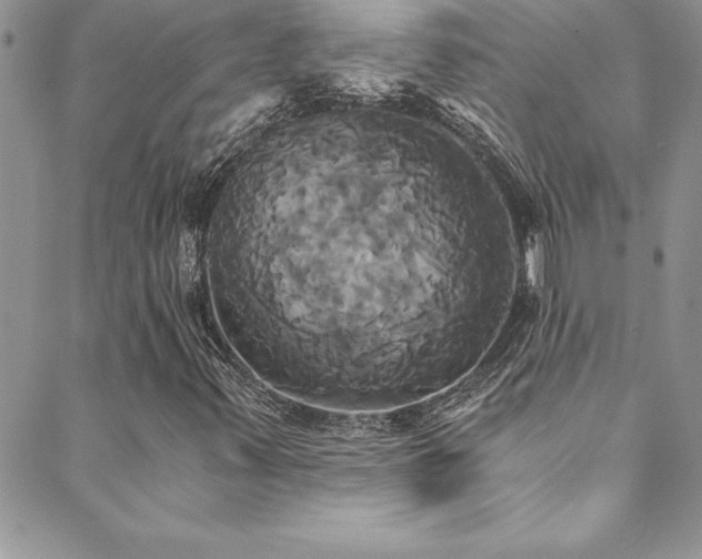 X0000089731347200706211423
