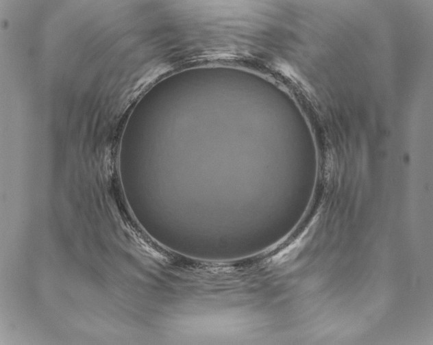 X0000089731353200706211423