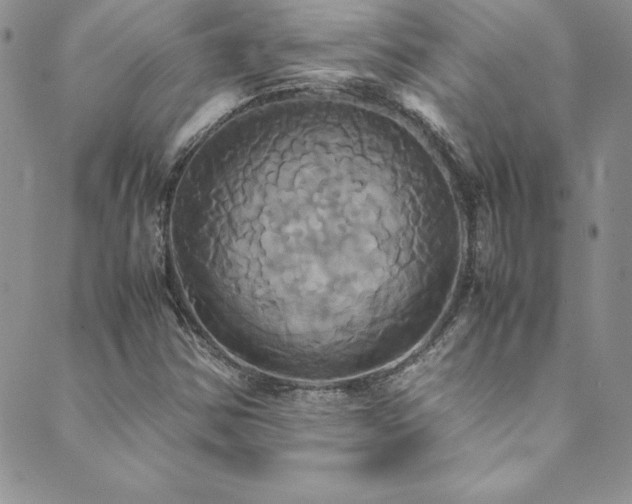 X0000089731354200706211423