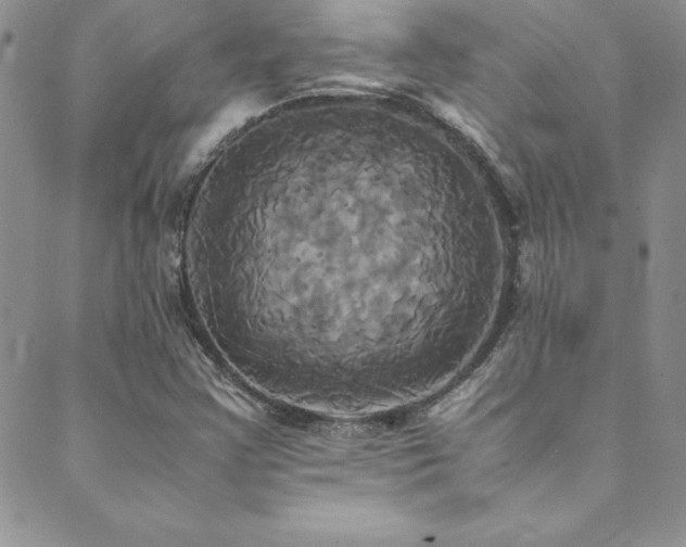 X0000089731355200706211423